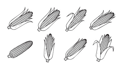 Collection of hand drawn corn cob illustrations in a distinctive silhouette style
