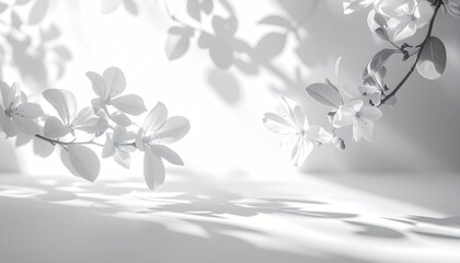 Abstract monochrome image of backlit foliage, casting delicate shadows on a smooth, white surface, offering a serene, airy atmosphere