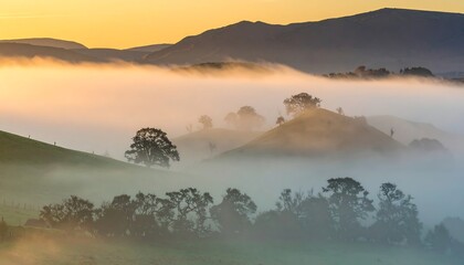 Misty sunrise valley, pastoral landscape, calm morning