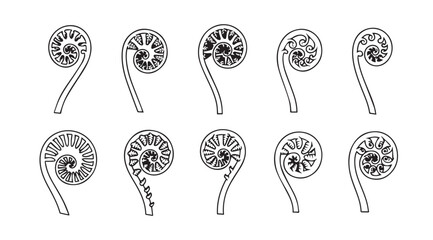 Collection of ten unfurling fern fronds in a simple line drawing silhouette © Tanvir
