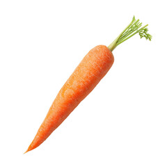 Single orange carrot, top view