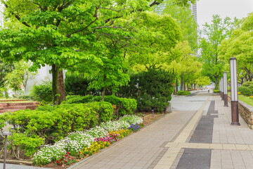 新緑の東遊園地　神戸市中央区にて