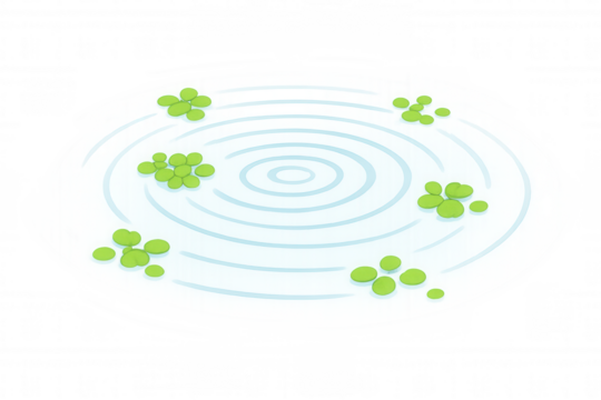 Cartoon illustration of a small pond with duckweed and concentric ripples, isolated on a transparent background