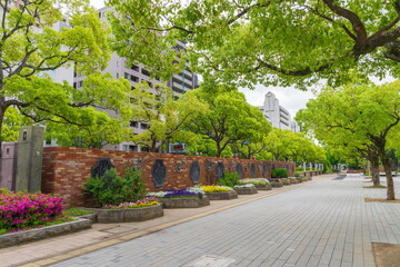 新緑の東遊園地　神戸市中央区にて