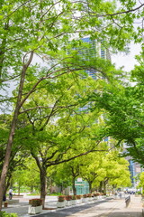 新緑の東遊園地　神戸市中央区にて