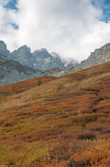 Akchan valley in late august with Kuyguk mountain pass covered with clouds in the background, the Altai Republic, Russia