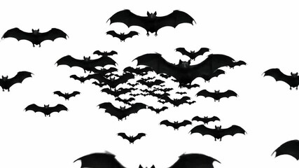 Dense Swarm of Black Bats Flying Forward in Slow Motion - Powered by Adobe