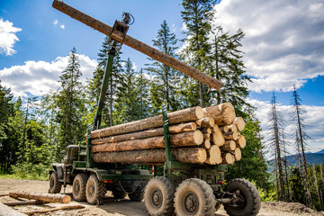 Forest industry. Truck loading wood in the forest. Loading logs onto a logging truck. Portable crane on a logging truck. Forestry tractors, trucks and loggers machinery. Felling of trees, cut trees