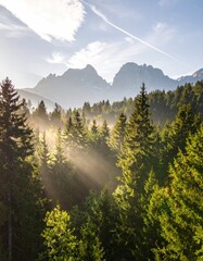 Sunbeams pierce through the evergreen forest, illuminating the morning mist and distant mountain peaks in a serene, scenic landscape