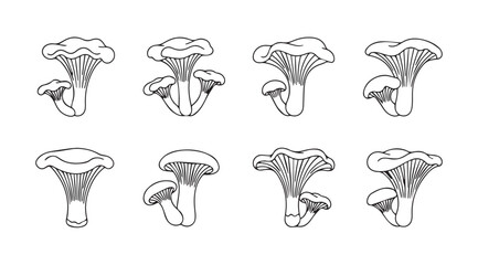 Collection of detailed chanterelle mushroom illustrations in silhouette
