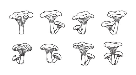 Collection of chanterelle mushroom illustrations in a distinctive silhouette style © Tanvir