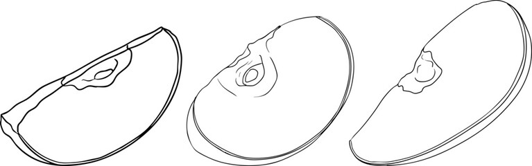 Line apples, perfect for educational or botanical designs. High quality illustration, coloring pages.	