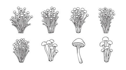 Collection of detailed botanical illustrations of various mushroom types silhouette