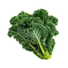 Fresh kale head, vibrant green leaves
