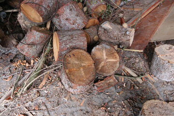 firewood in the fire