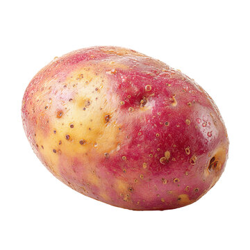 Single reddish-yellow potato, speckled