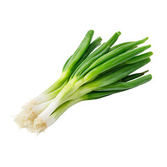 Bunch of fresh green onions (20)
