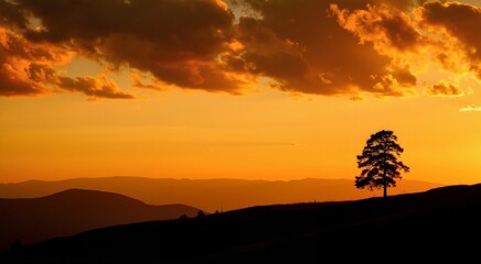 sunrise in the mountains
