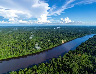 Panoramic view of a dark river winding through a lush, expansive green rainforest under a bright blue sky with fluffy white clouds