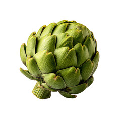 Obraz premium Close-up of a fresh green artichoke