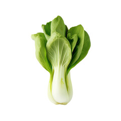 Close-up of bok choy head