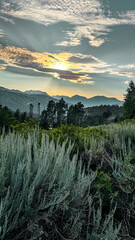 guardsman pass park city utah 