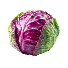 Obraz premium Close-up of vibrant purple cabbage