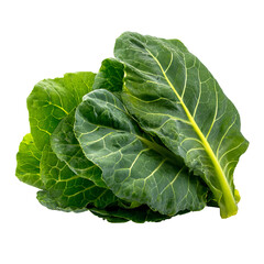 Obraz premium Fresh, vibrant green leafy vegetable (10)