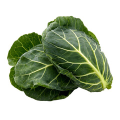 Obraz premium Close-up of two leafy green cabbages