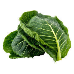 Obraz premium Close-up of fresh green collard greens