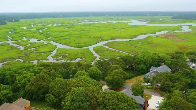 Aerial view of expansive coastal marshlands, with winding waterways, tidal channels, and dense greenery blending seamlessly with surrounding neighborhoods and forest.