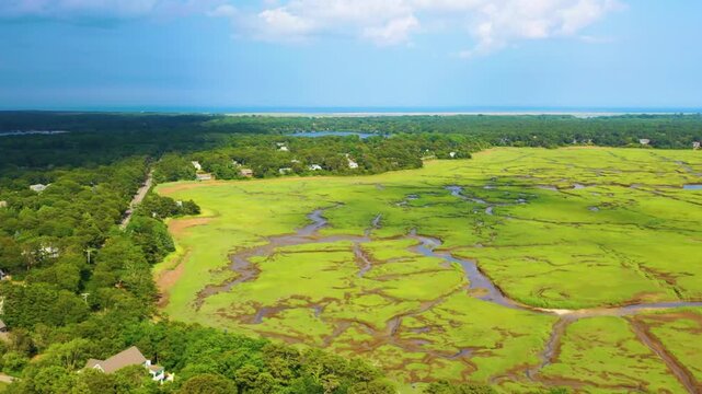Drone shot of Cape Cod marshland ecosystem, with winding tidal creeks, green grasses, and wetlands blending naturally with the surrounding wooded neighborhood.