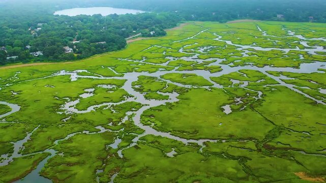 High-angle drone shot of Cape Cod tidal wetlands, with winding blue creeks weaving through bright green grasses and lush vegetation beneath a soft, cloudy summer sky.
