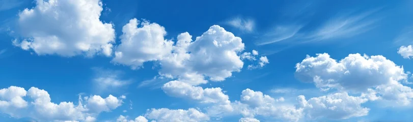 A panoramic view of a bright blue sky filled with fluffy white cumulus clouds scattered across the horizon on a sunny day © velvet