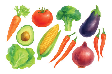 watercolor vegetables bundle collection illustration
