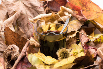 Un café caliente con la llegada del otoño