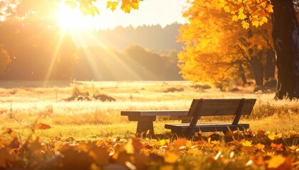 Obraz premium Sunny autumn scene featuring a bench under a tree with golden leaves falling, bathed in warm sunlight