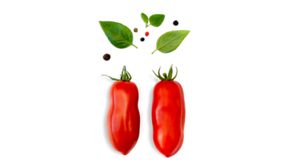 Red oblong tomatoes with basil leaves, oregano and 3 types of pepper on isolated transparent background. Cut out. With transparent shadow. Cooking, decor element. PNG