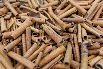 Cinnamon stick, used in various recipes