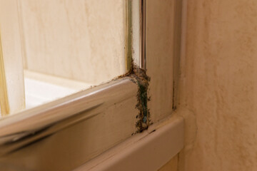 A shower cabine with dirty joints and stained seal frame