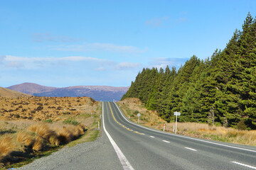 Scenic Open Road Through Mountains and Forest – Travel and Adventure Landscape