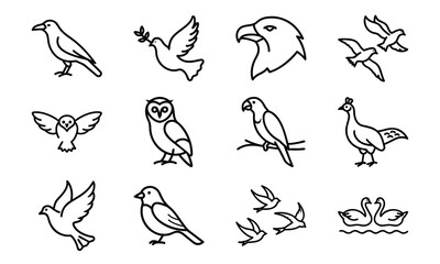 Set of bird line icons including dove, eagle, owl, parrot, peacock, and flying birds isolated on white background