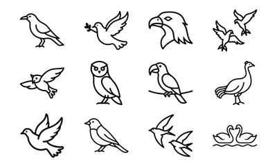 Set of bird line icons including dove, eagle, owl, parrot, peacock, and flying birds isolated on white background