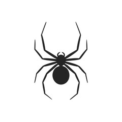 Black silhouette of a spider on white background arachnid