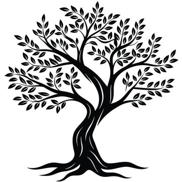 Silhouette of a leafy tree with a twisted trunk and widespread roots stands
