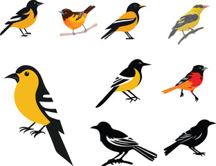 Fototapeta premium Abstract geometric pattern with vibrant color accents