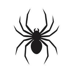 Black Spider Silhouette insect arachnid
