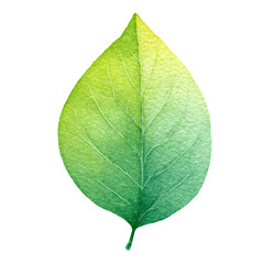 Isolated flat leaf icon in pastel green, a watercolor style element, isolated on black