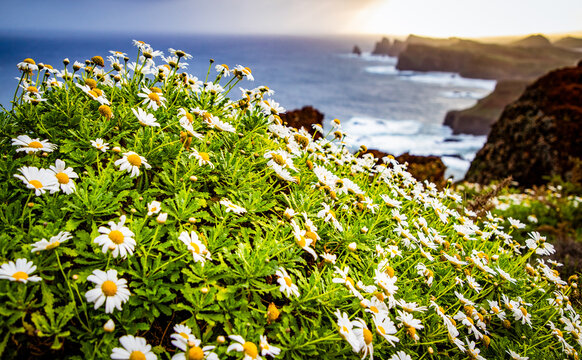dramatic coastline with rocks of Madeira, Portugal