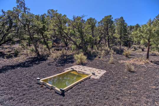 A water catchment in the Coconino National Forest, Sunset Crater National Monument, Arizona, USA